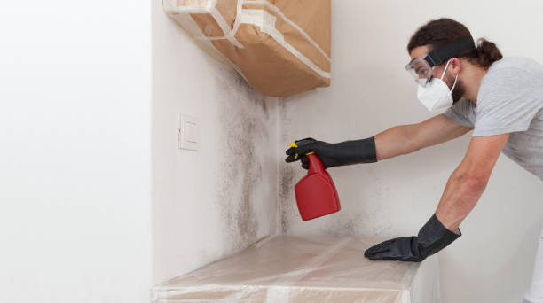Professional Mold Removal technician working in Chesterfield, NJ