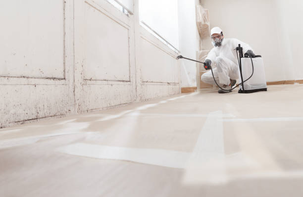 24/7 Emergency Mold Removal experts in Chesterfield, NJ