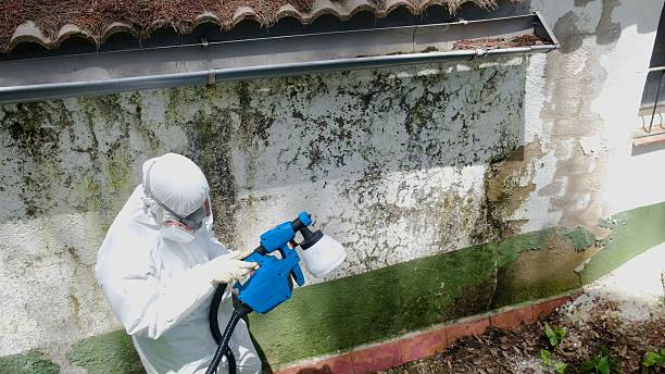 Top rated local Mold Removal specialists in Chesterfield, NJ
